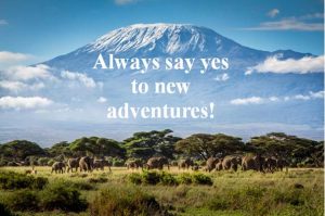 Always say yes to adventures