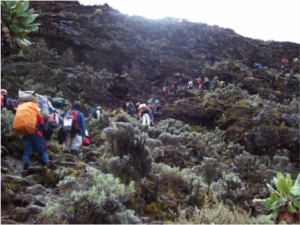 gå på Kilimanjaro